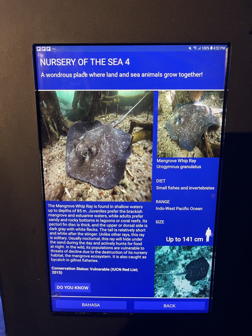 seashore tank - mangrove whipray signage