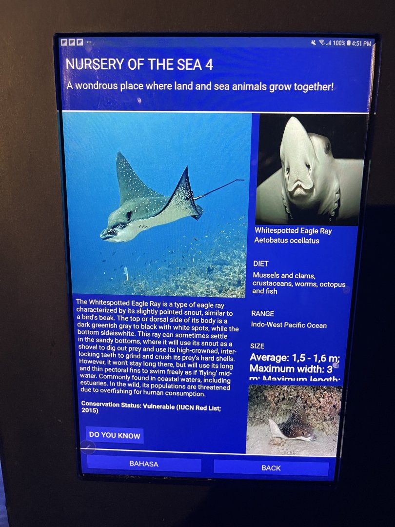 seashore tank - ocellated eagle ray signage