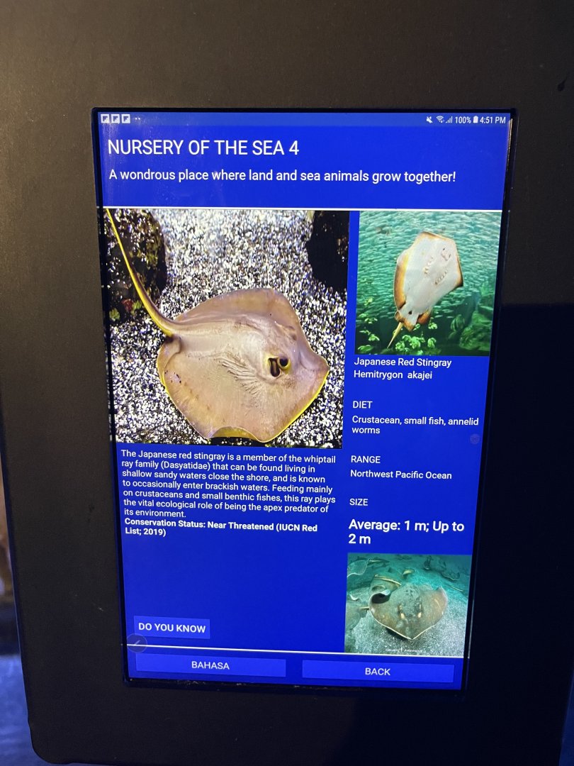 seashore tank - red stingray signage