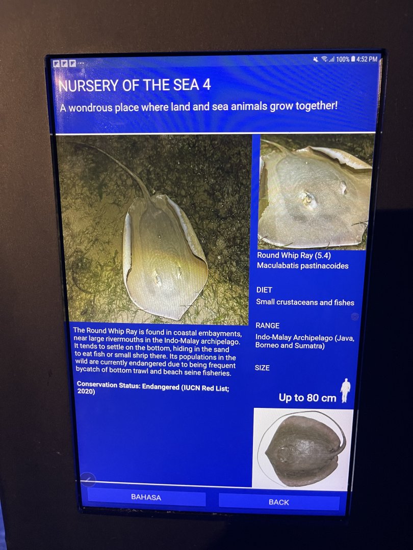 seashore tank - round whipray signage