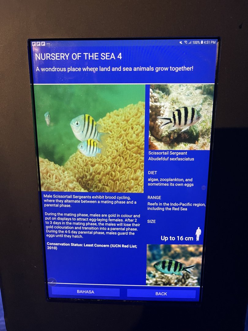 seashore tank - scissortail sergeant signage