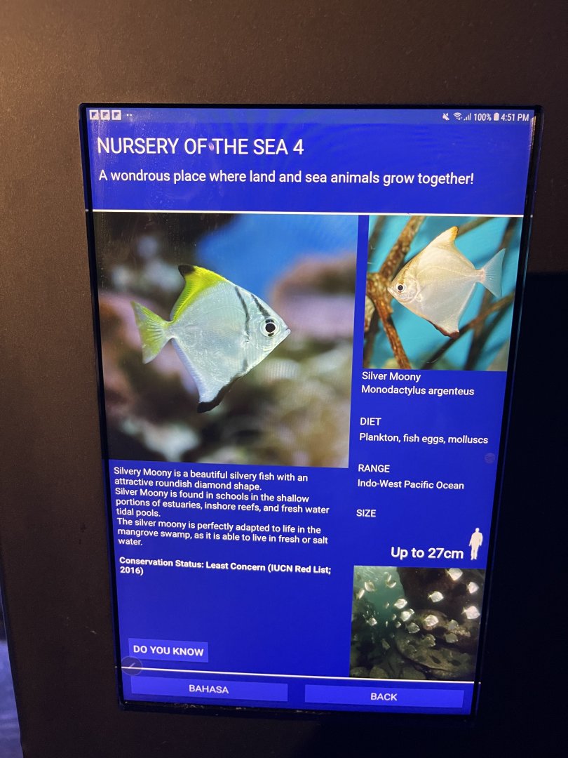 seashore tank - silver moonyfish signage