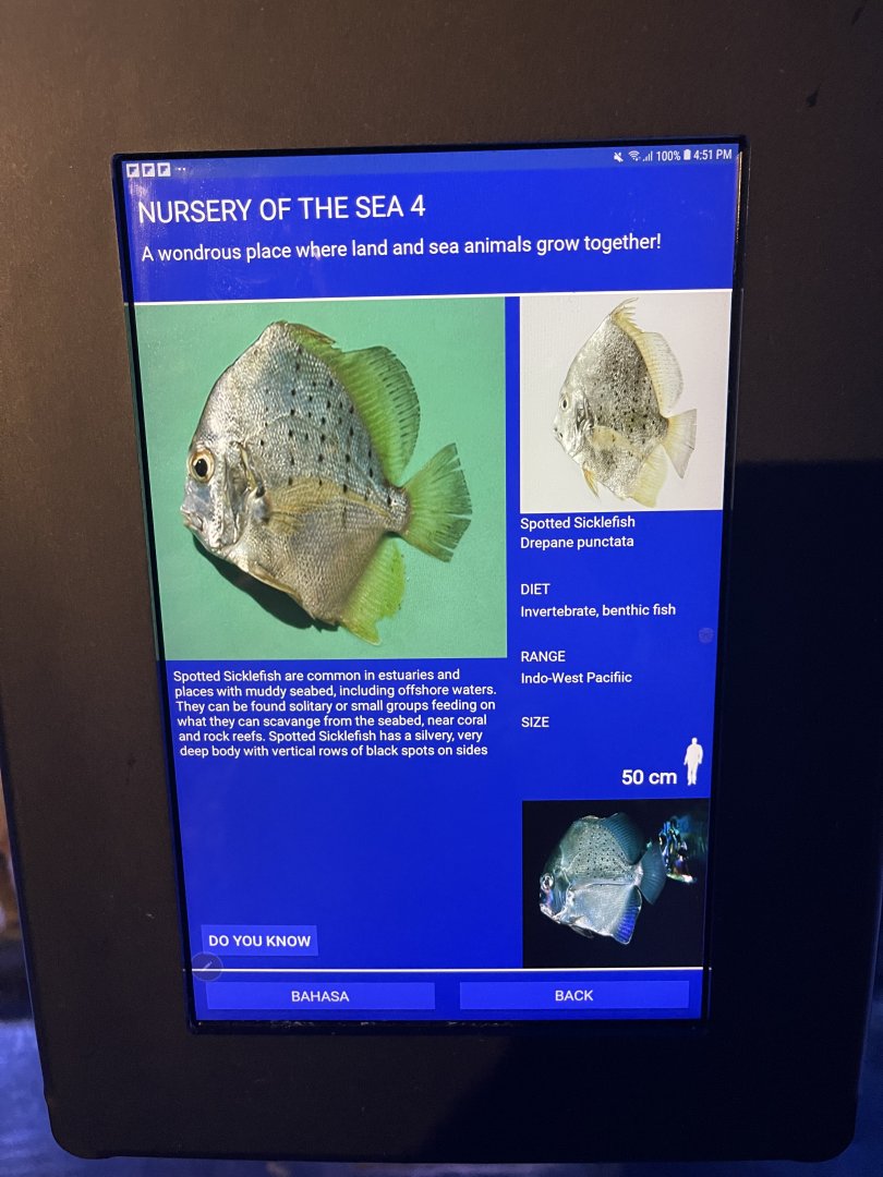 seashore tank - spotted sicklefish signage