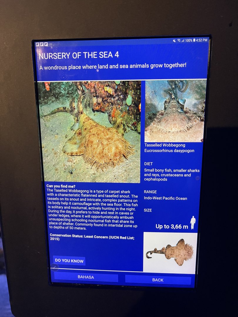 seashore tank - spotted wobbegong signage