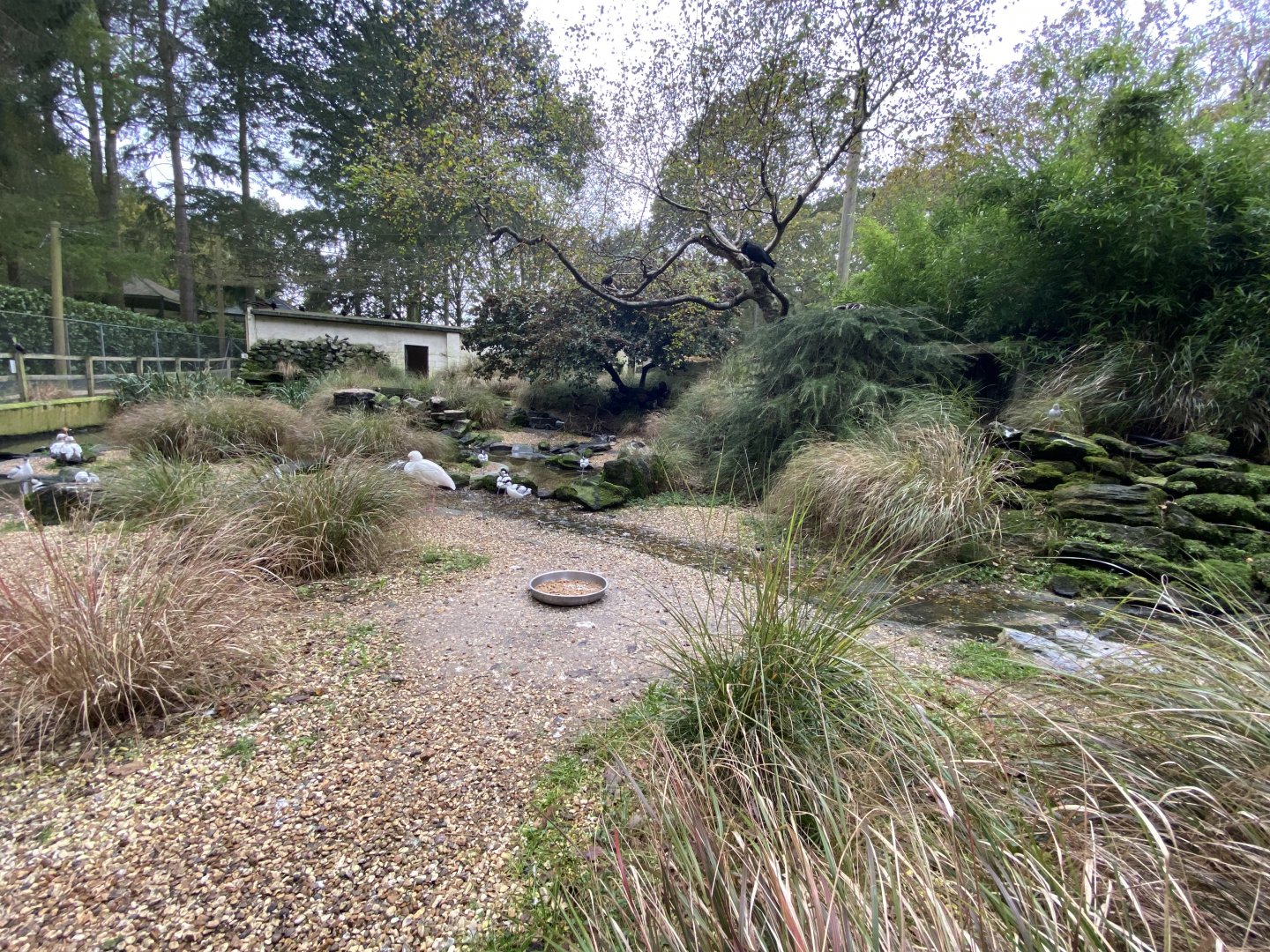 Seashore Walk 061121