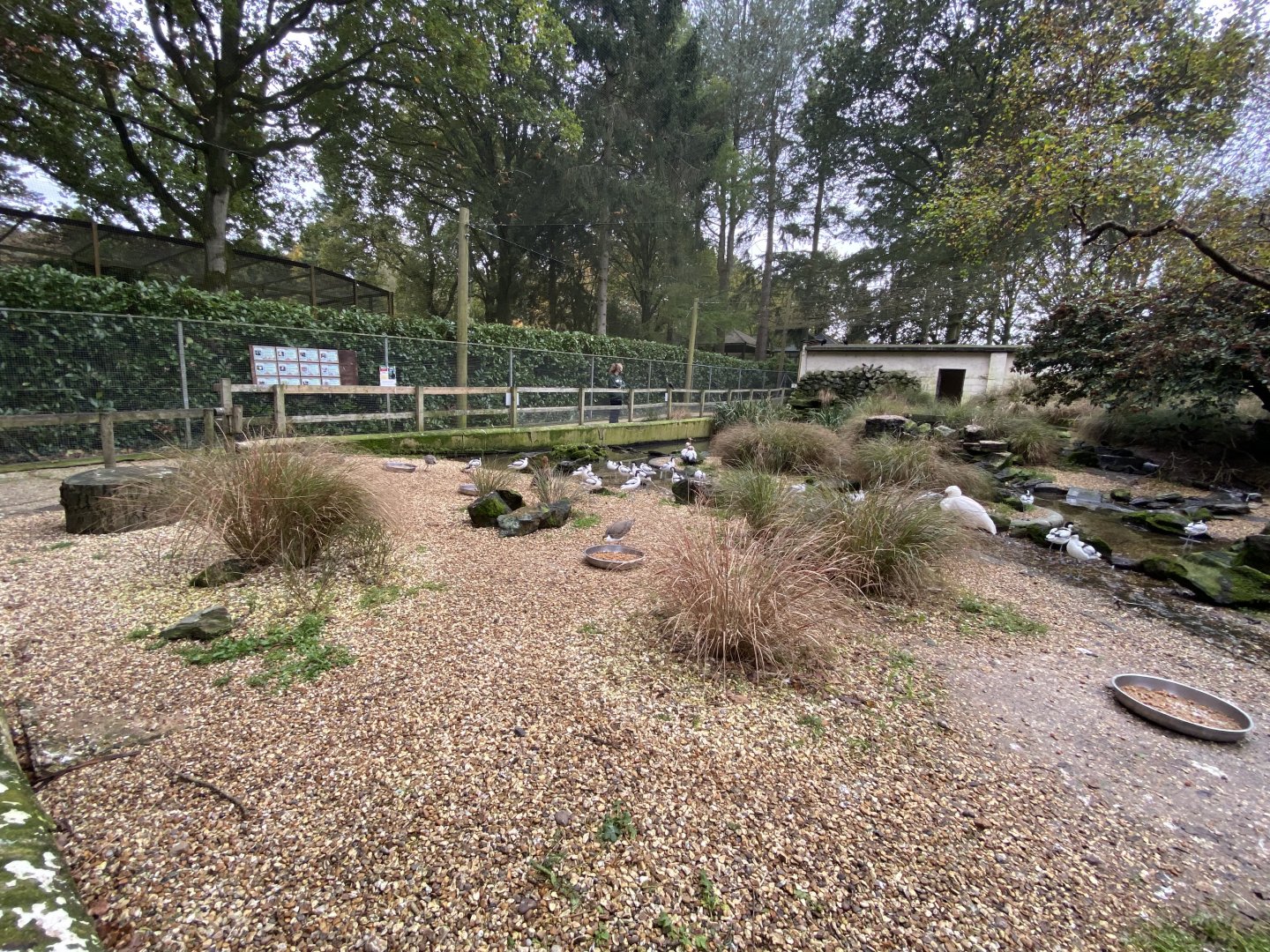 Seashore Walk 061121