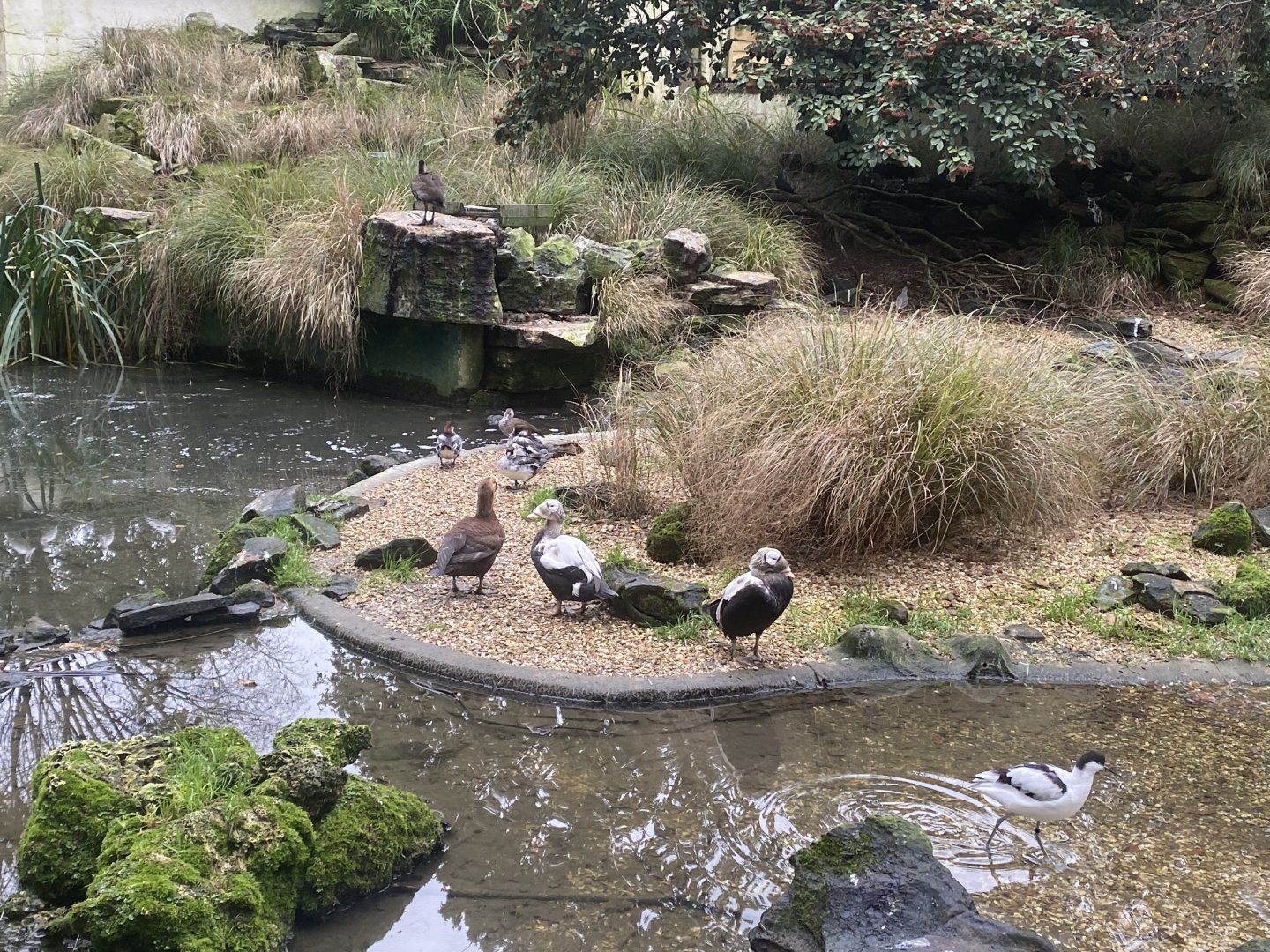 Seashore Walk 061121