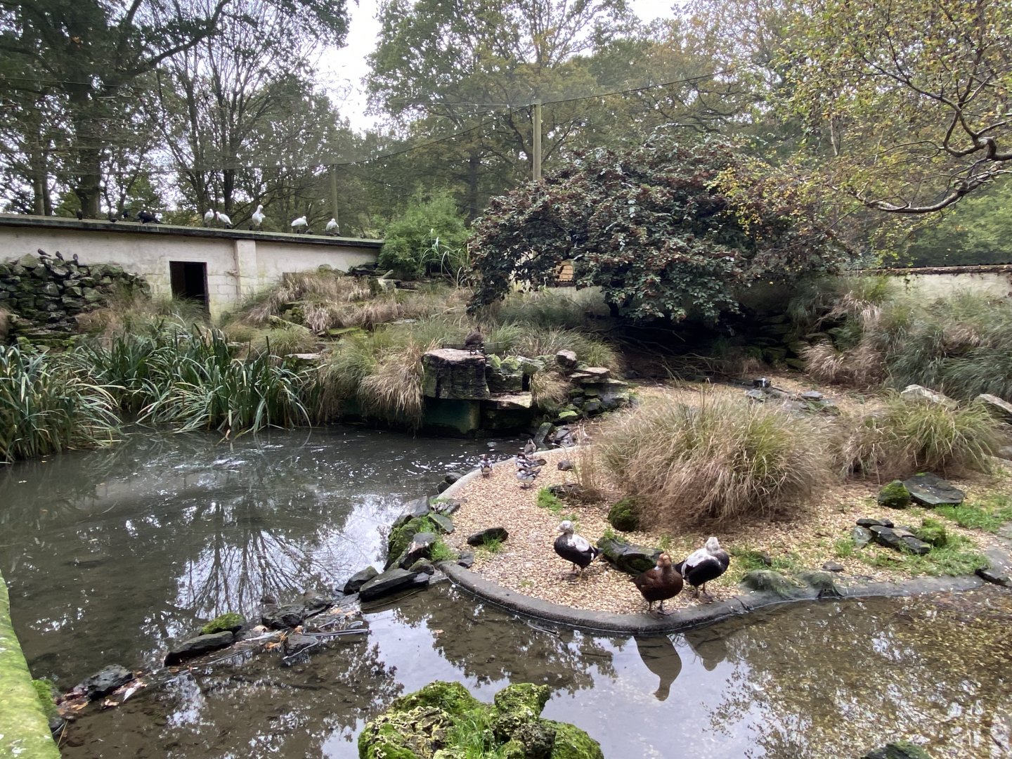 Seashore Walk 061121