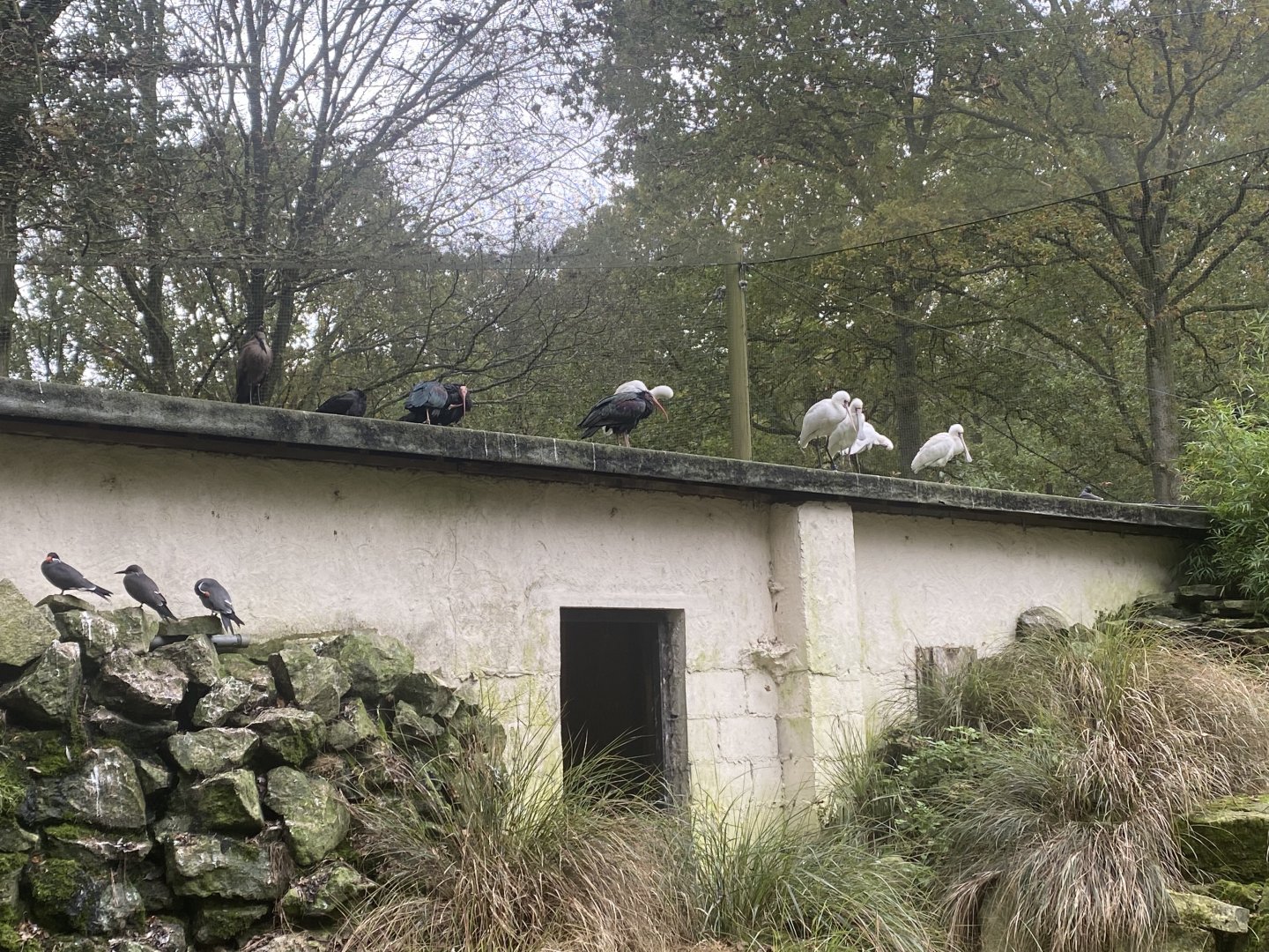 Seashore Walk 061121