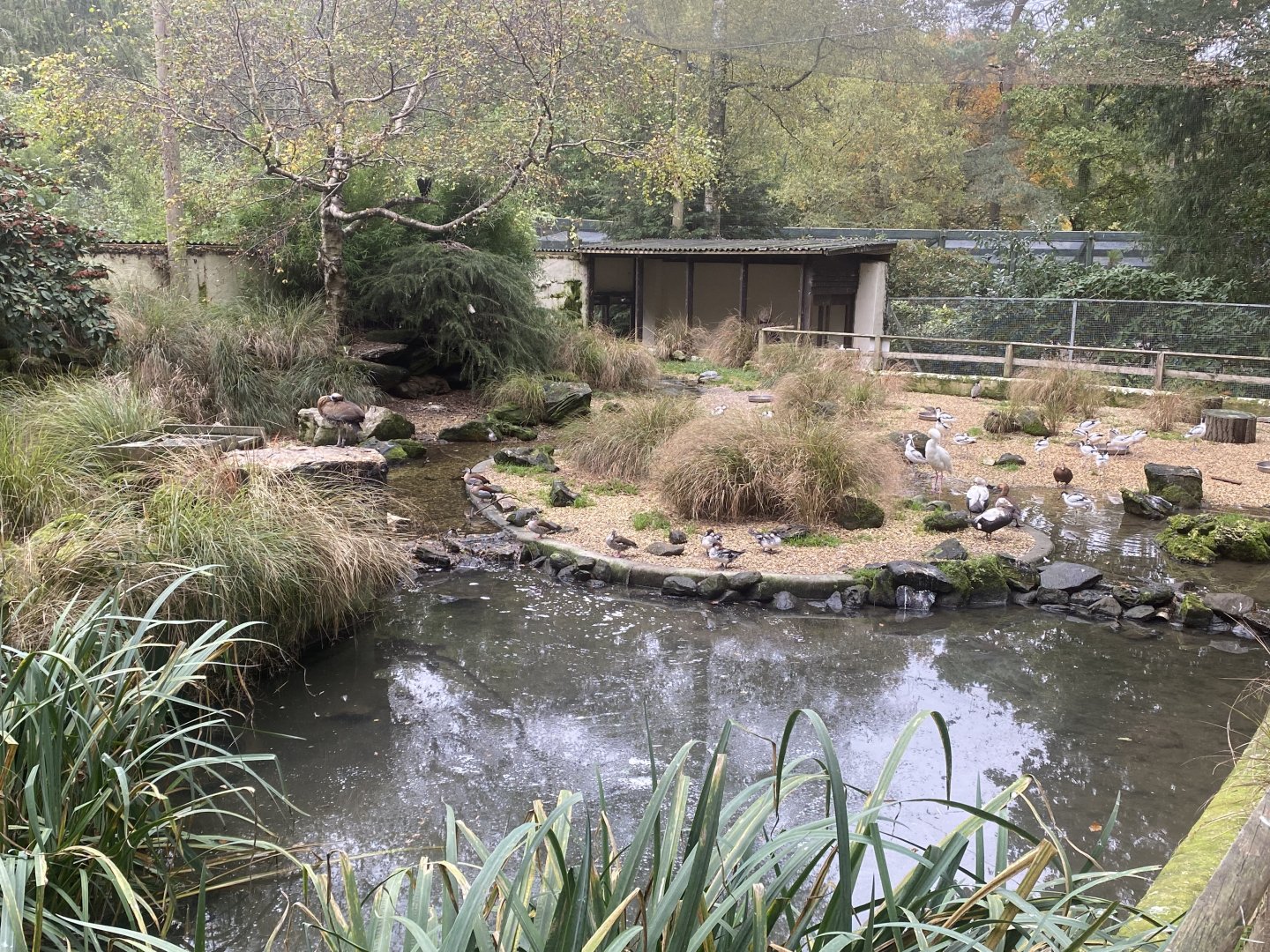 Seashore Walk 061121