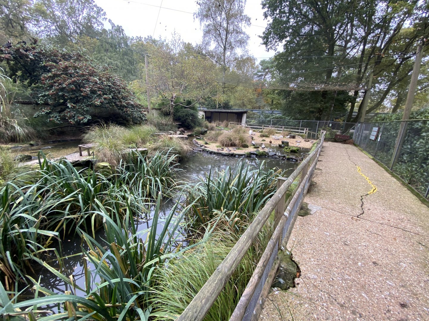 Seashore Walk 061121