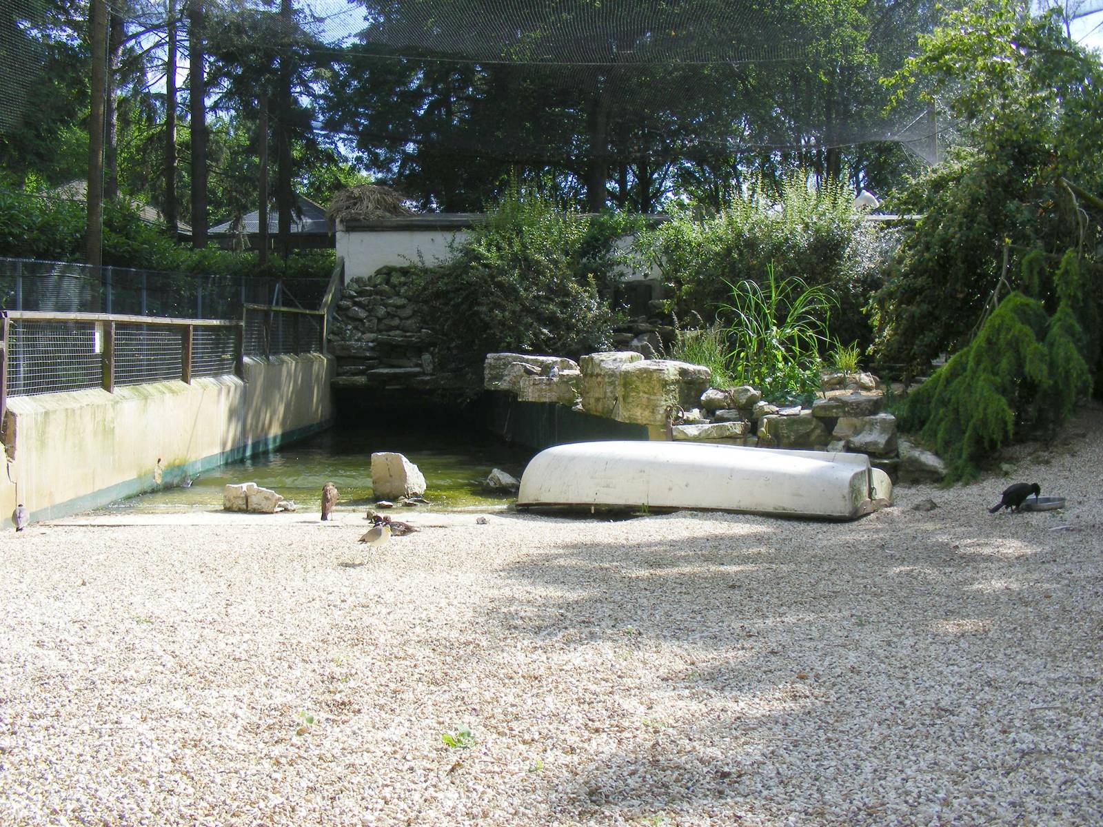 Seashore walk exhibit at Birdworld, 20 June 2010