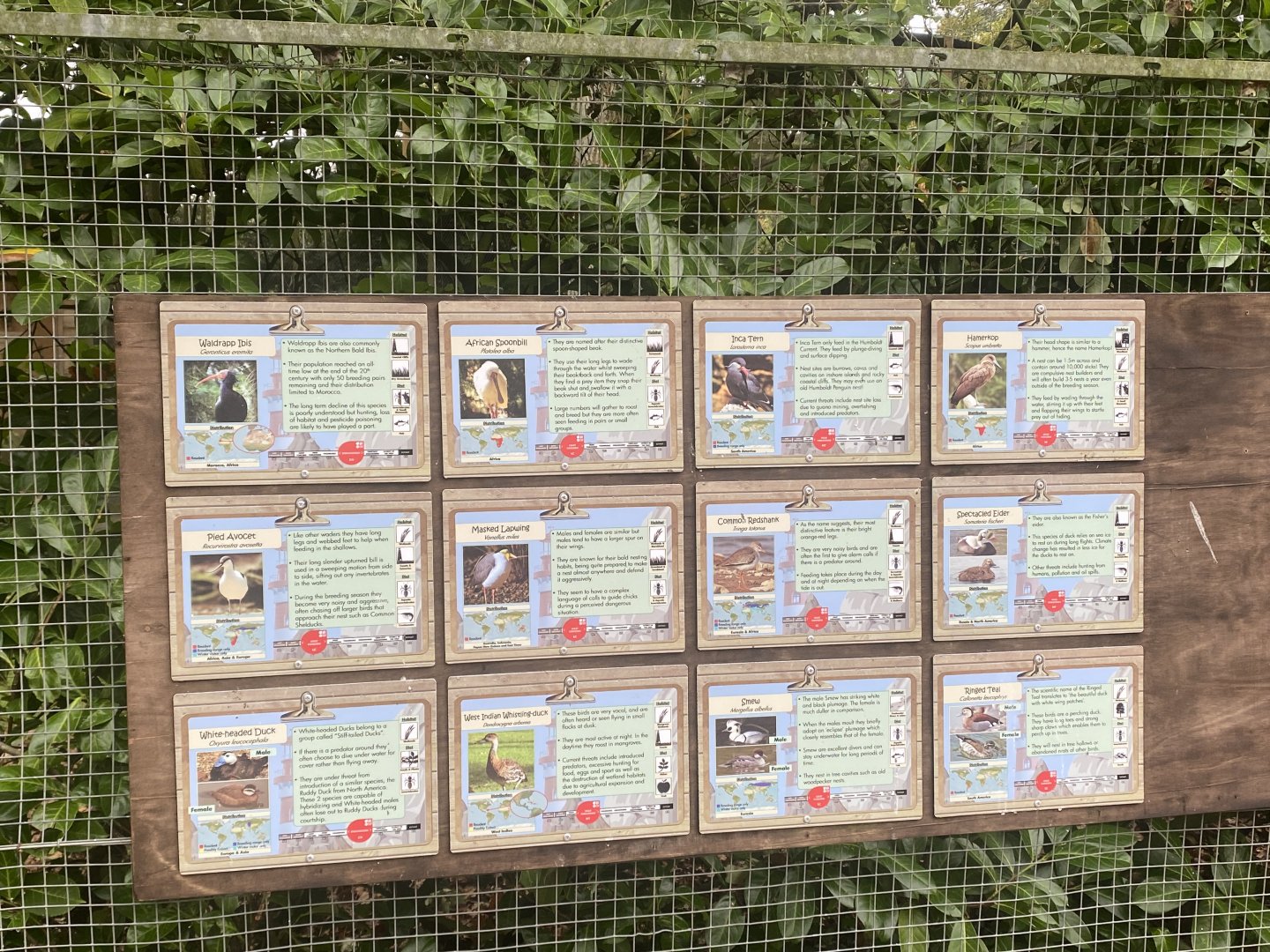 Seashore Walk signage 061121