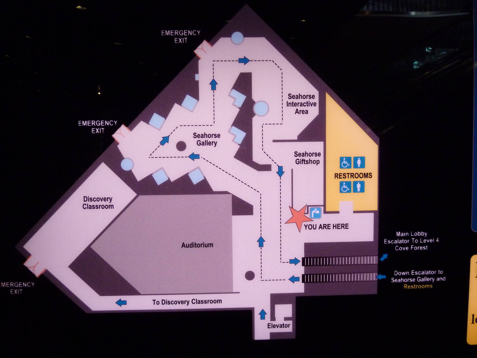Seashores Gallery Map