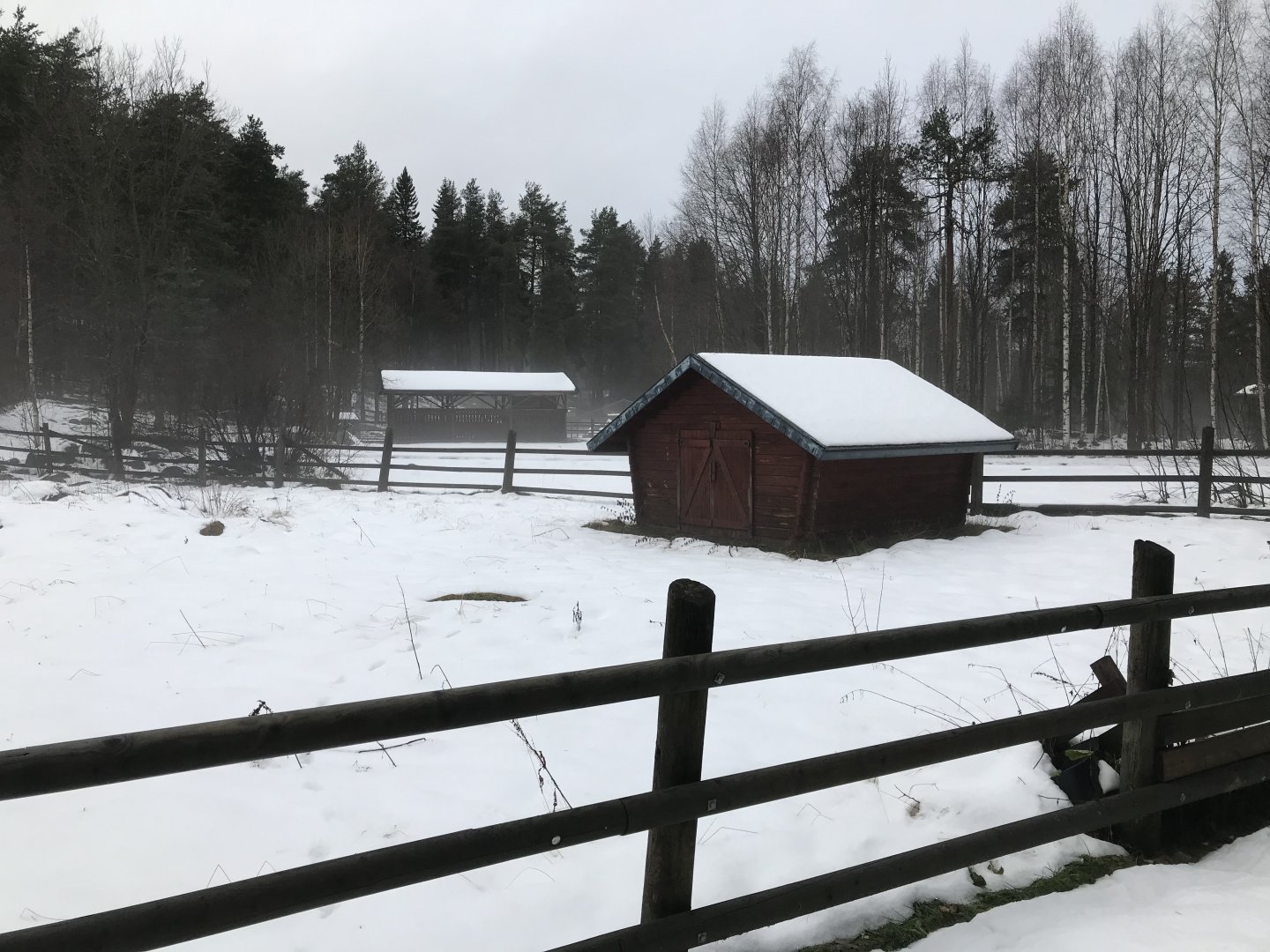 Seasonal domestic paddock