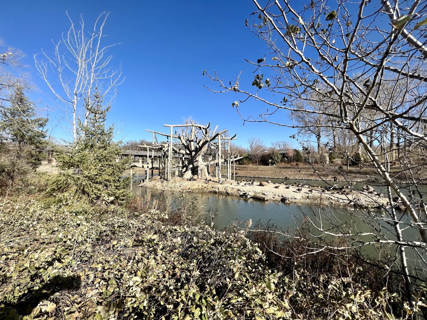 Seasonal Primate Exhibit