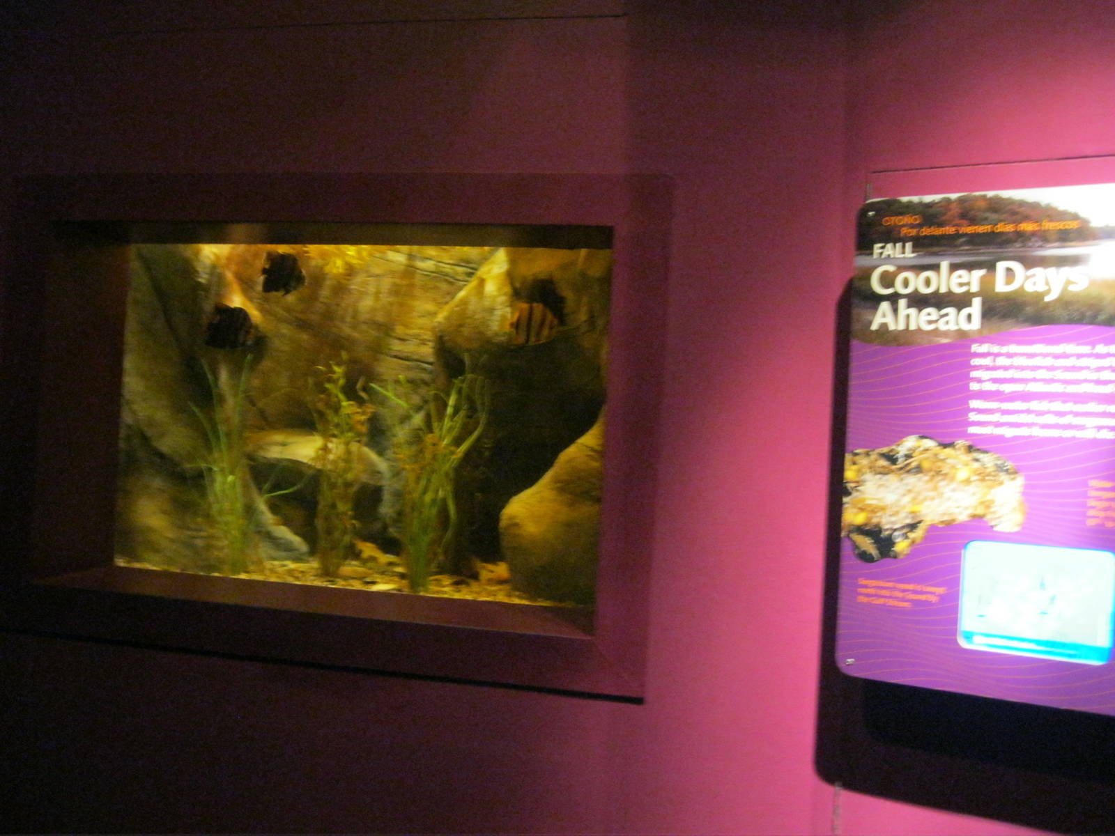 Seasons of the Sound- Autumn