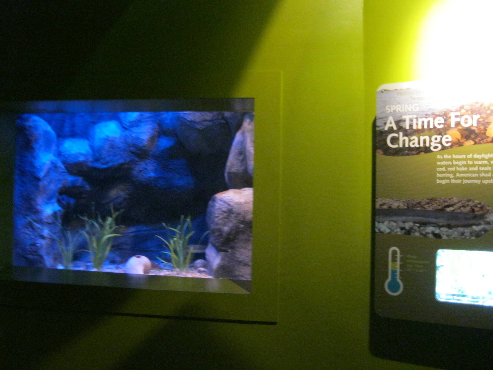 Seasons of the Sound- Spring