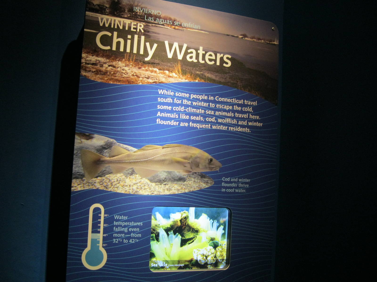 Seasons of the Sound- Winter Signage