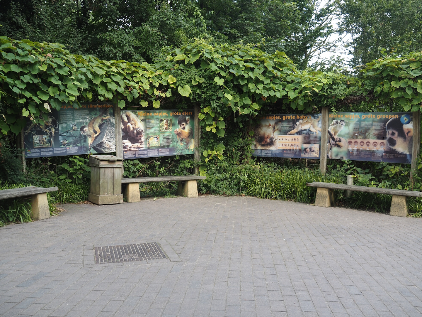Seating and signage near the entrance of the squirrel monkey forest, 2024-08-21