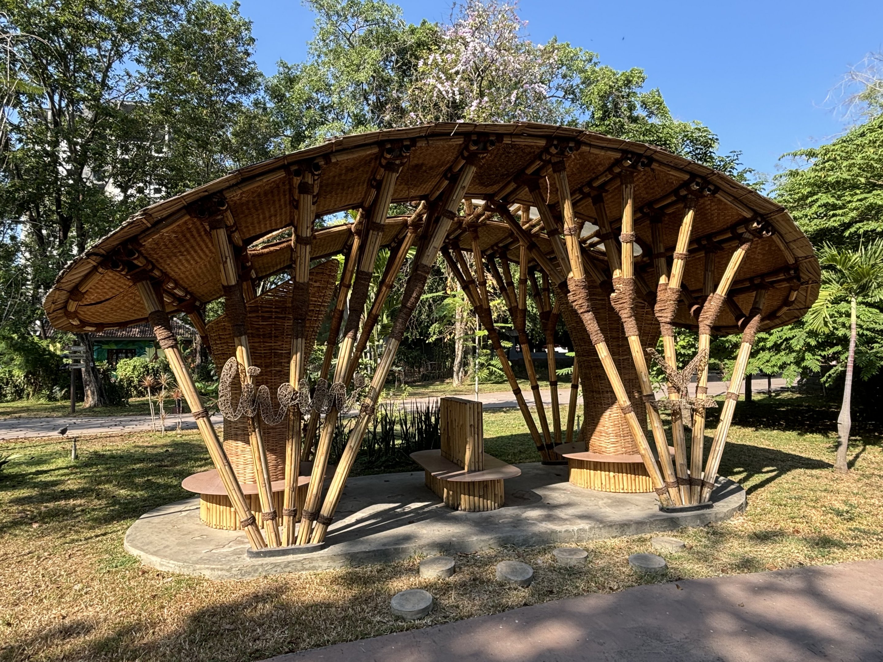 Seating Area - Solo Safari