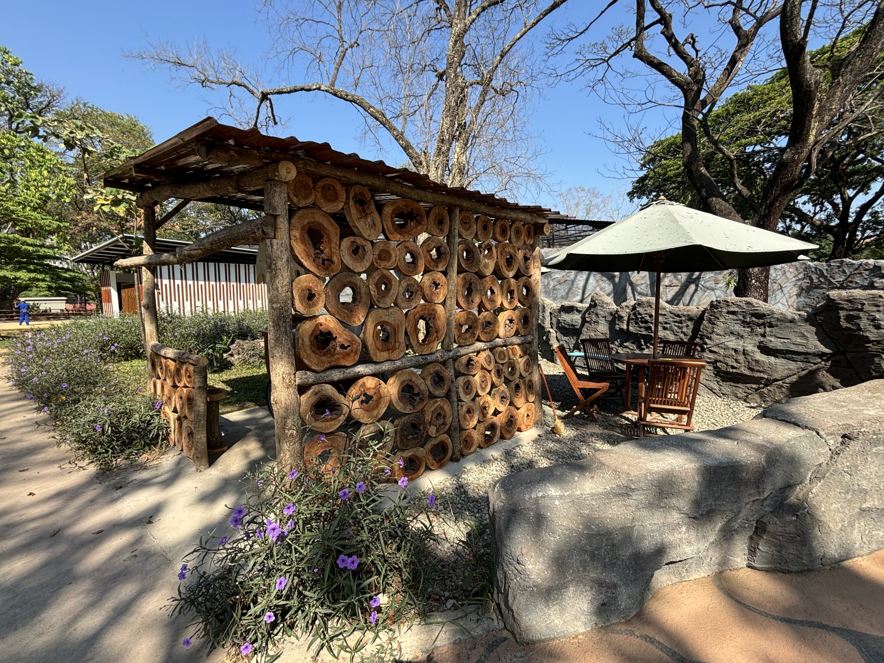 Seating Area - Solo Safari