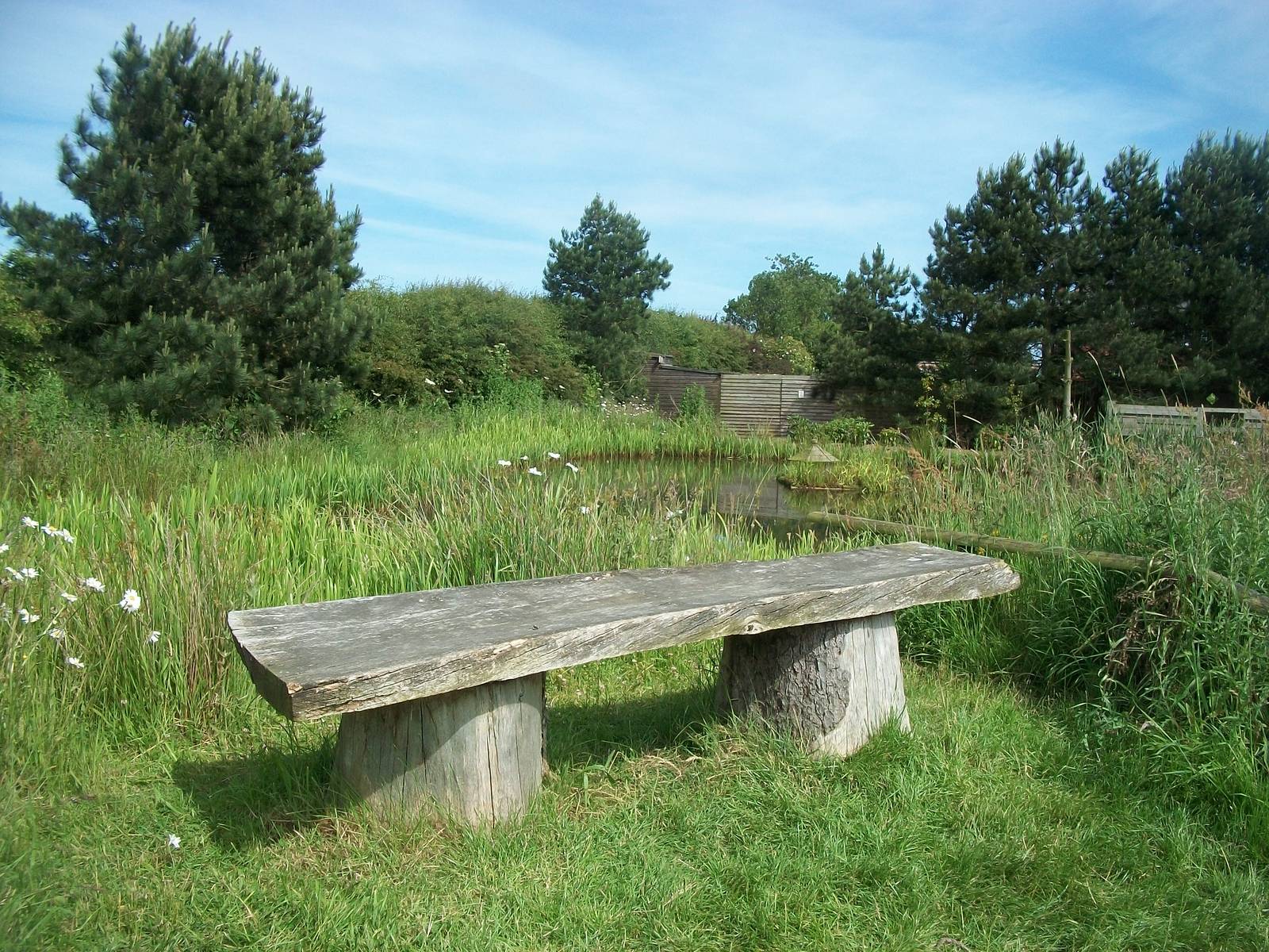 Seating near pond, 19th June 2014