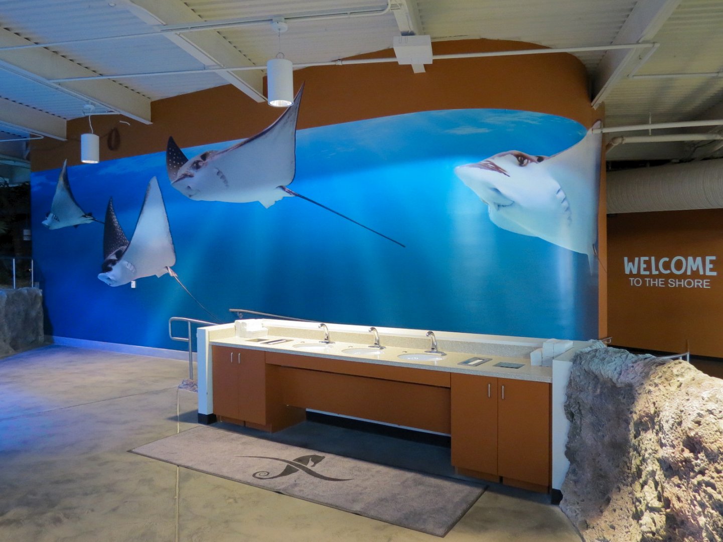 SeaTREK's Stingray Bay