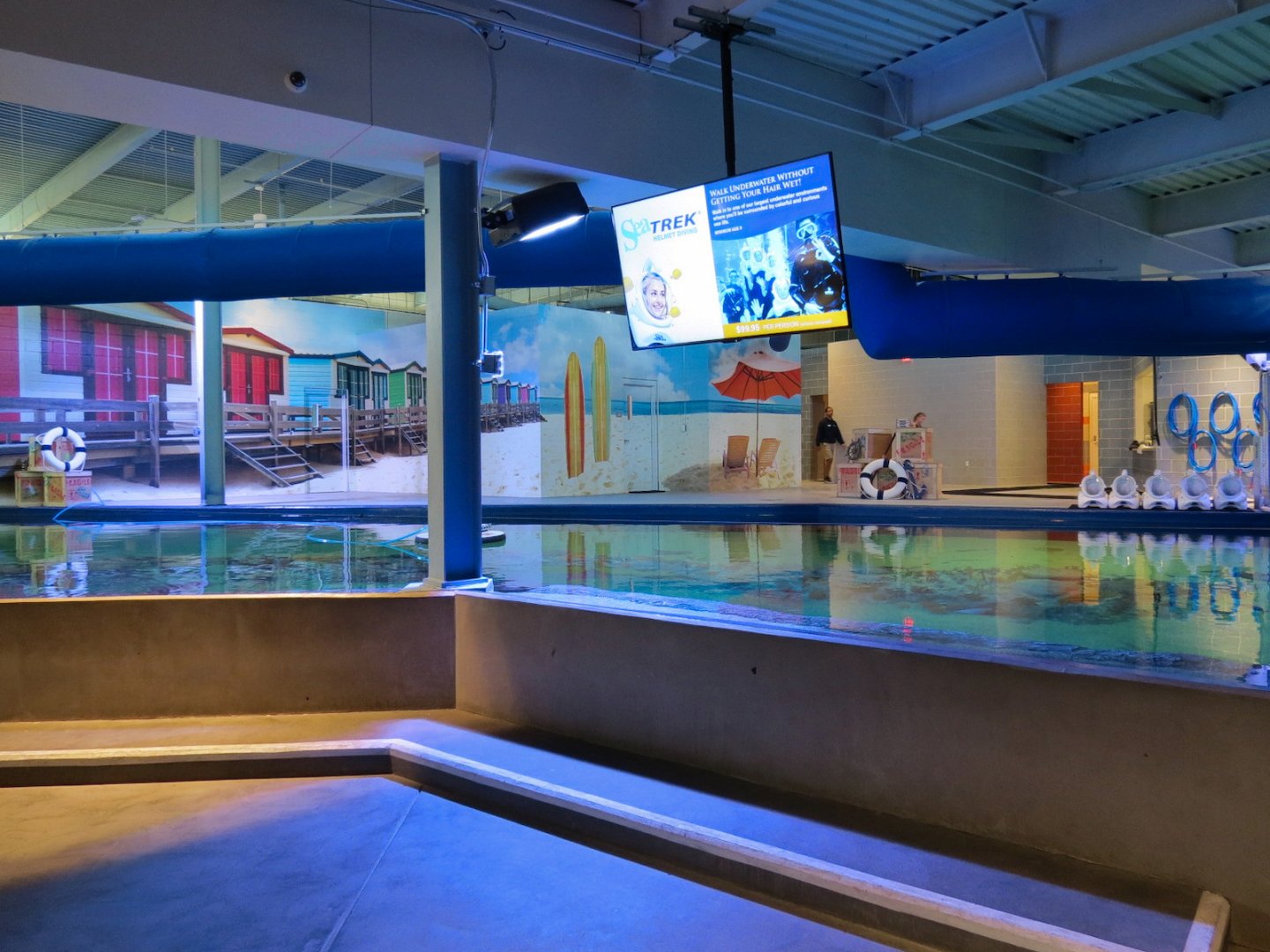 SeaTREK's Stingray Bay