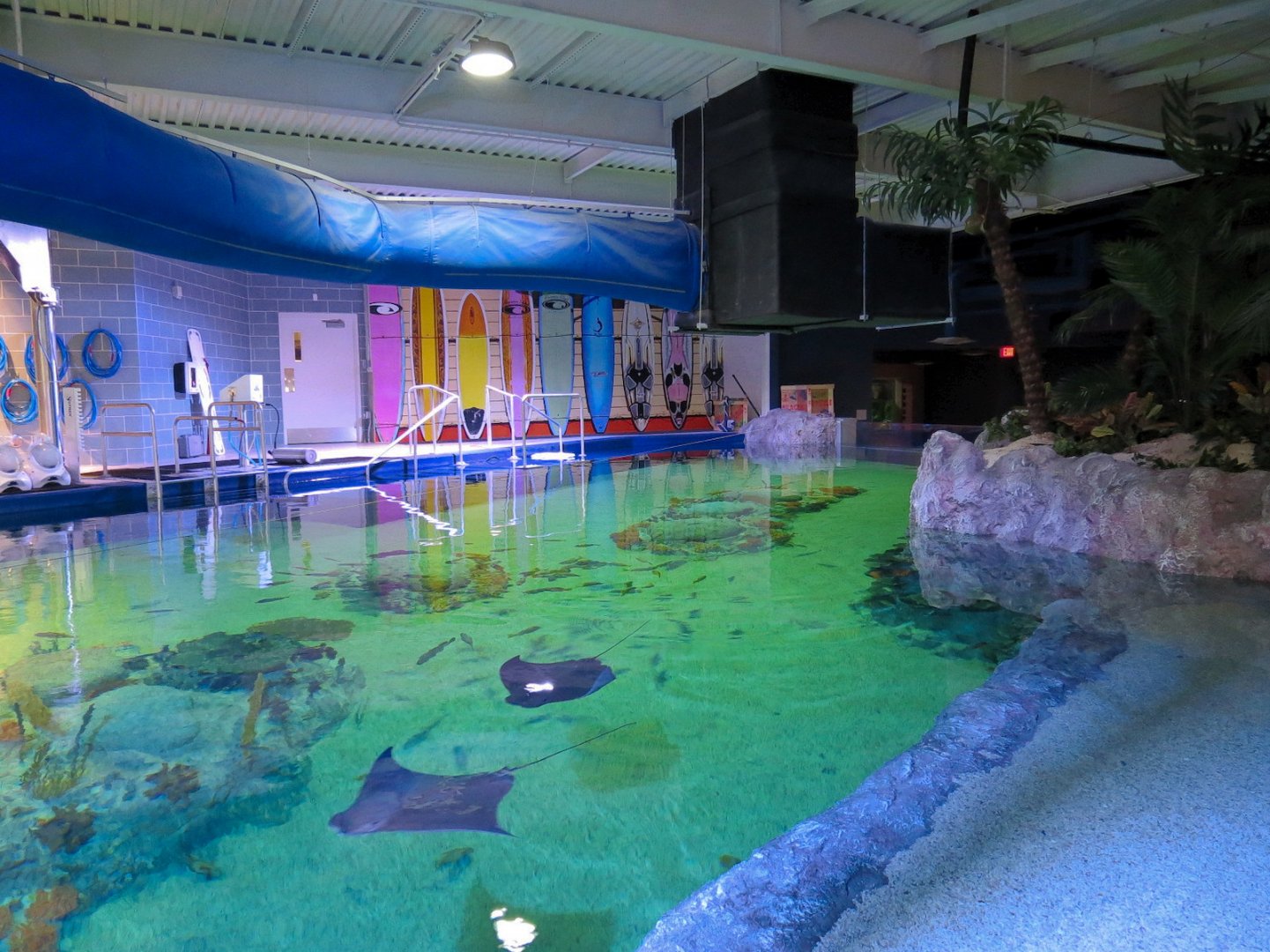 SeaTREK's Stingray Bay