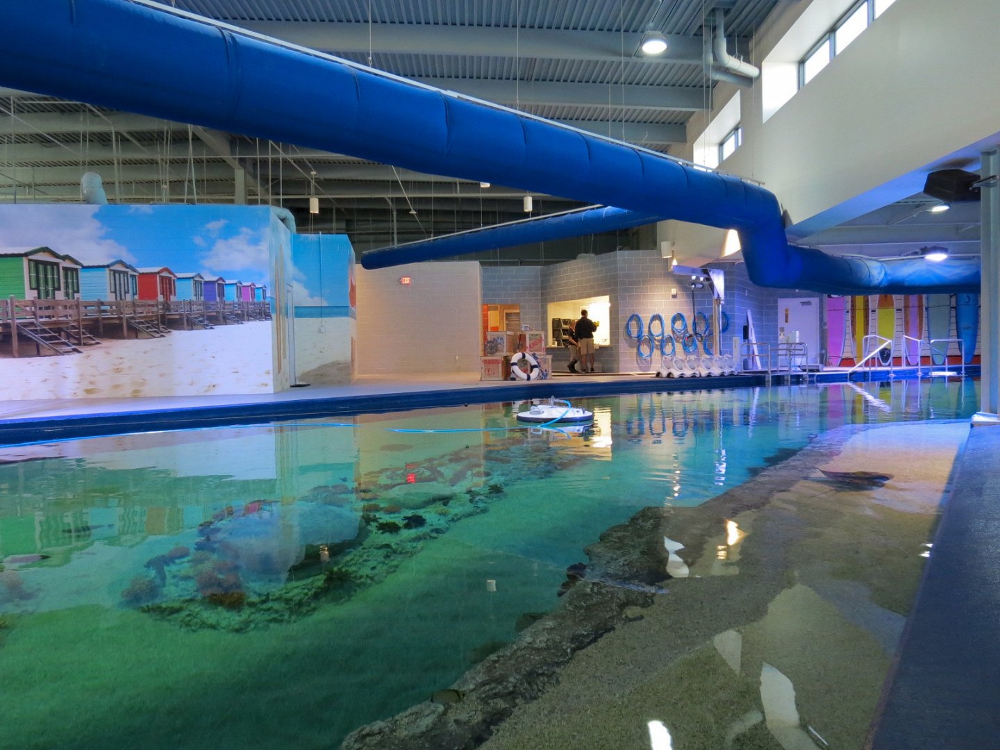 SeaTREK's Stingray Bay