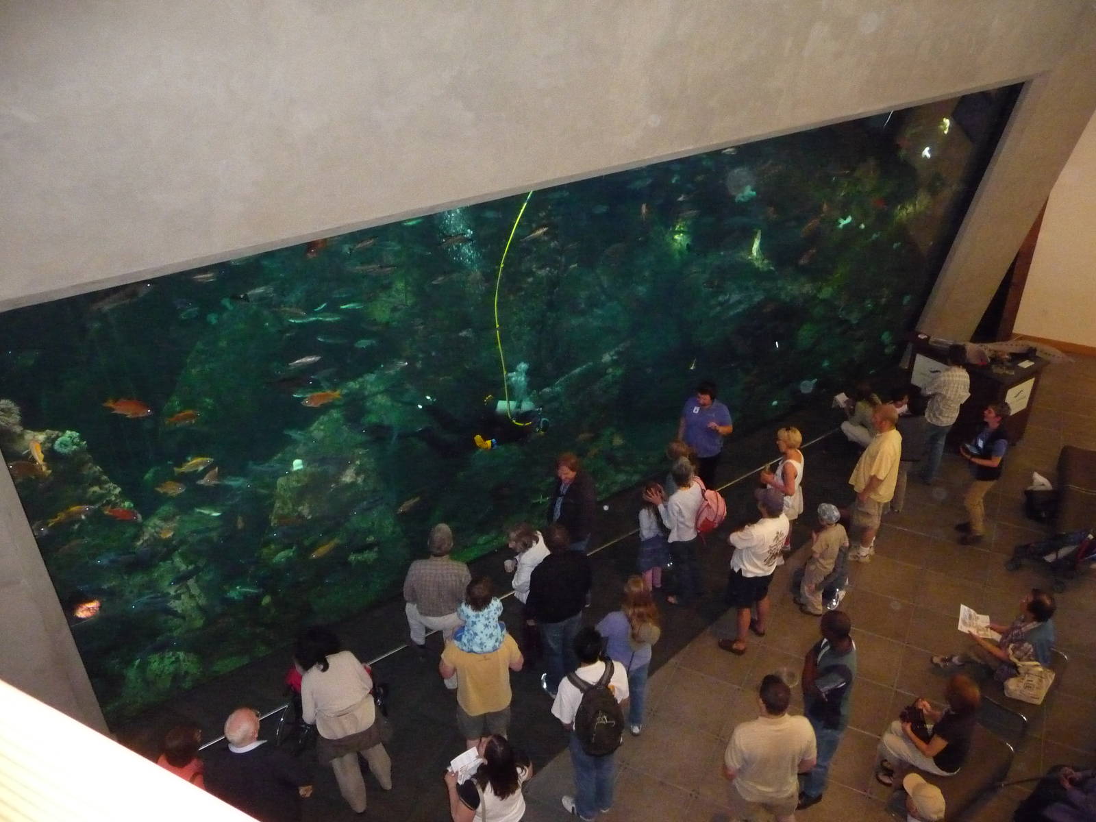 Seattle Aquarium