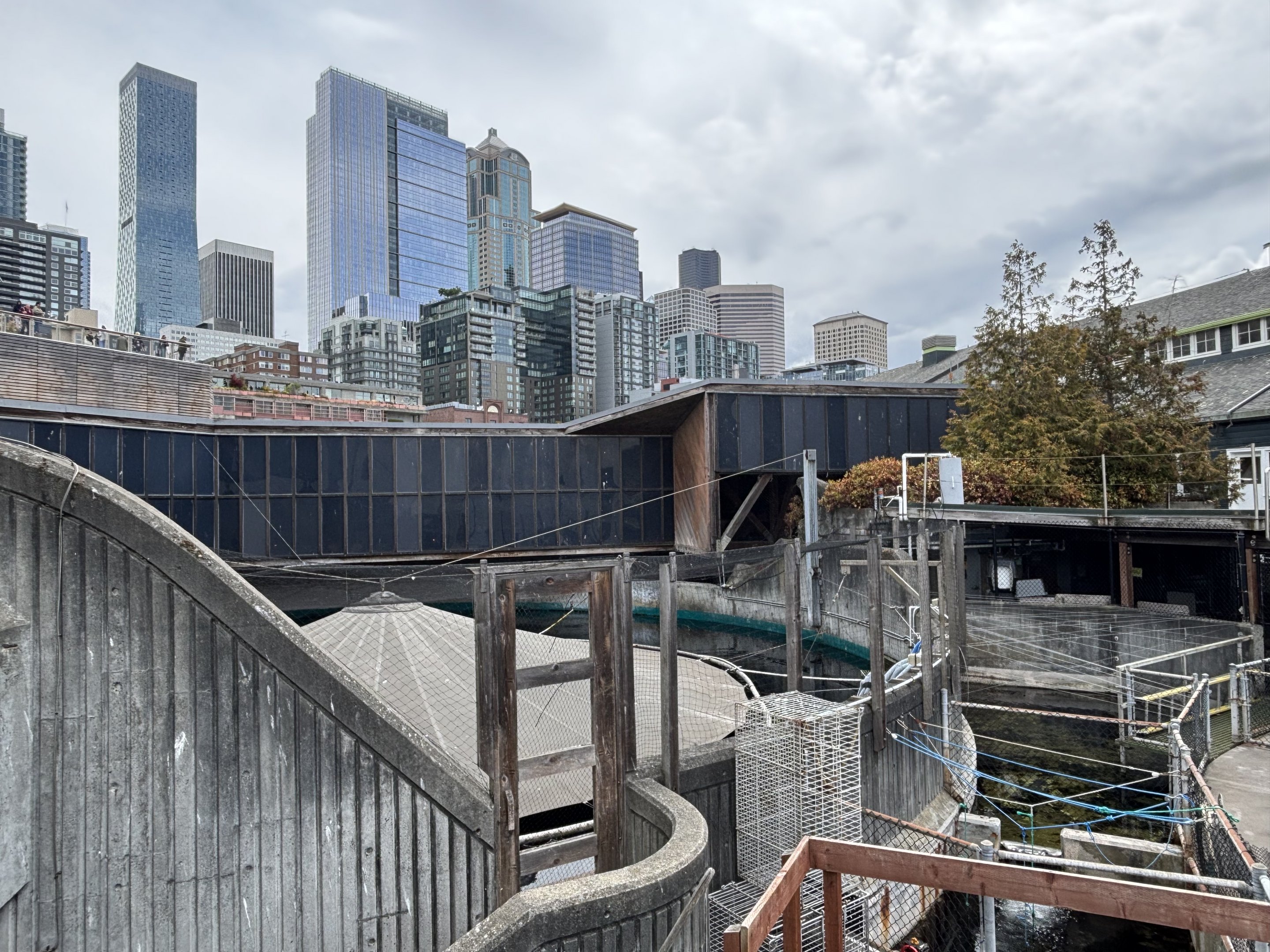 Seattle Skyline + Aquarium Overview