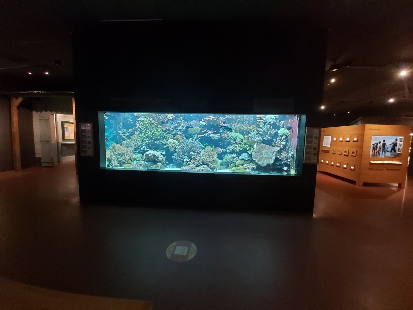 Seawater aquarium - Masoala rainforest