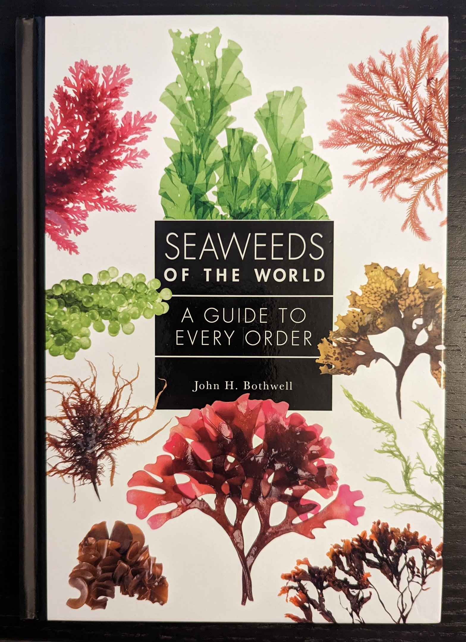 Seaweeds of the World: A Guide to Every Order
