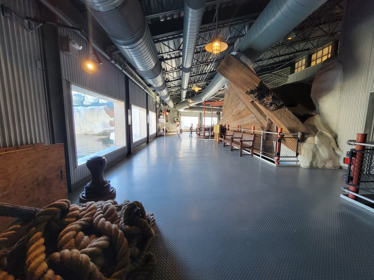 SeaWorld San Diego - Beluga exhibit area