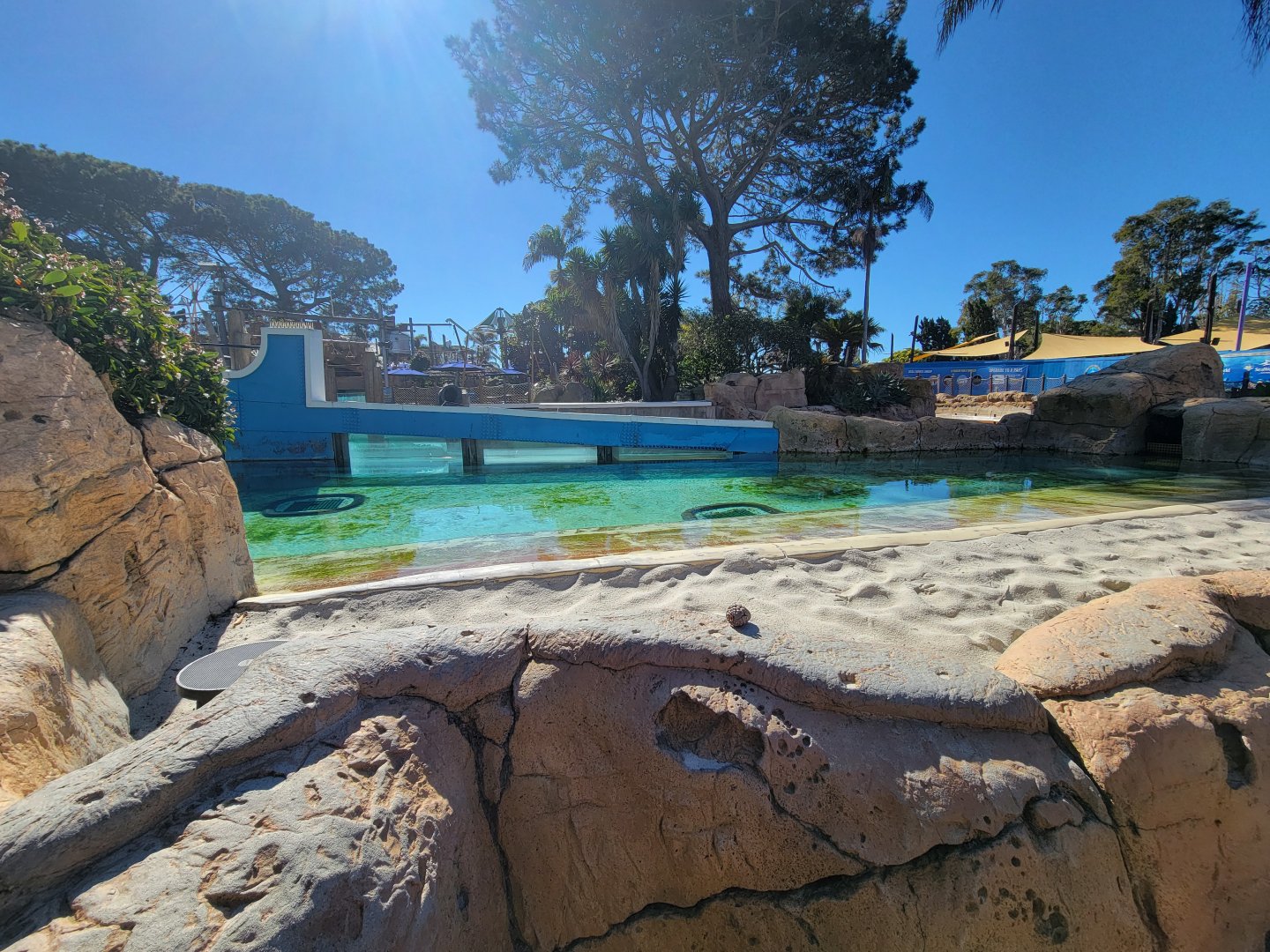 SeaWorld San Diego - Empty outdoor sea turtle area