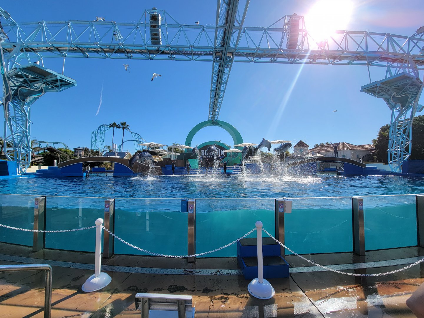 SeaWorld San Diego - Finale of Dolphin Adventures show