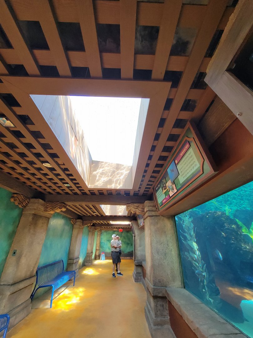 SeaWorld San Diego - Inside exhibit building next to ray touch area