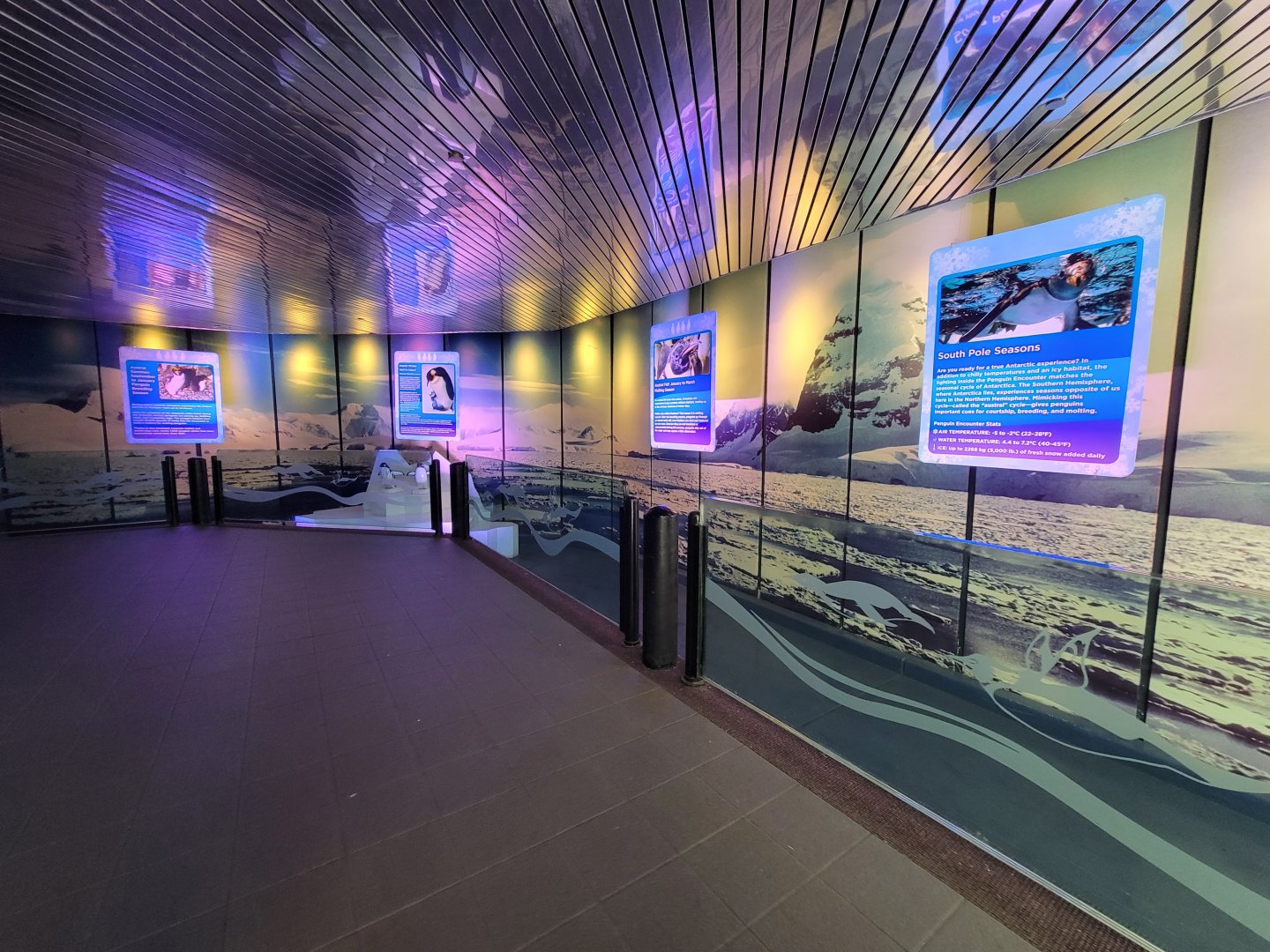 SeaWorld San Diego - Inside penguin building