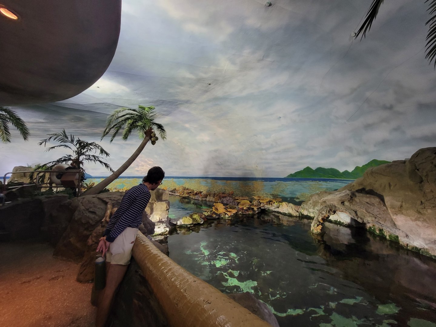 SeaWorld San Diego - Inside shark building