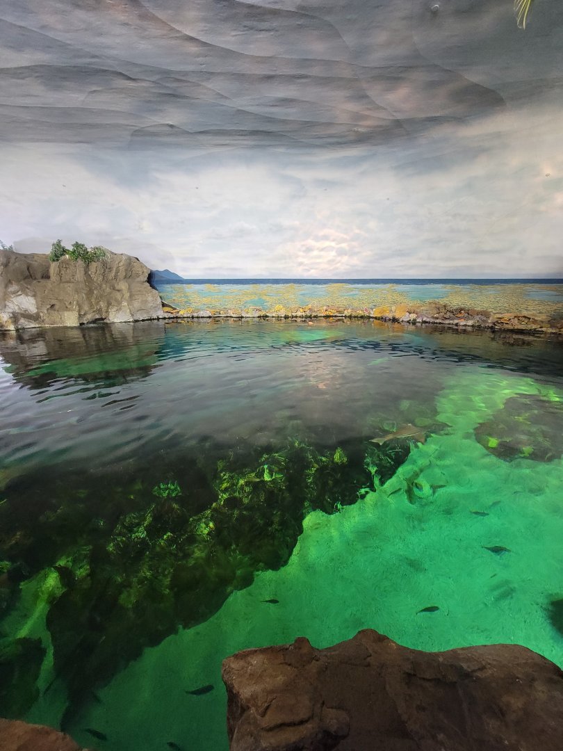 SeaWorld San Diego - Inside shark building