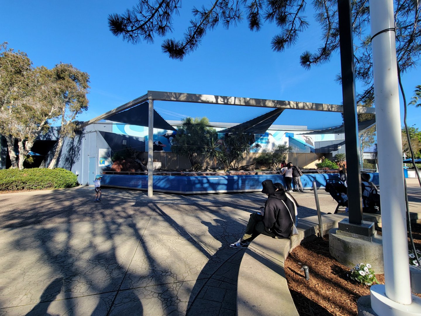SeaWorld San Diego - Magellanic penguins