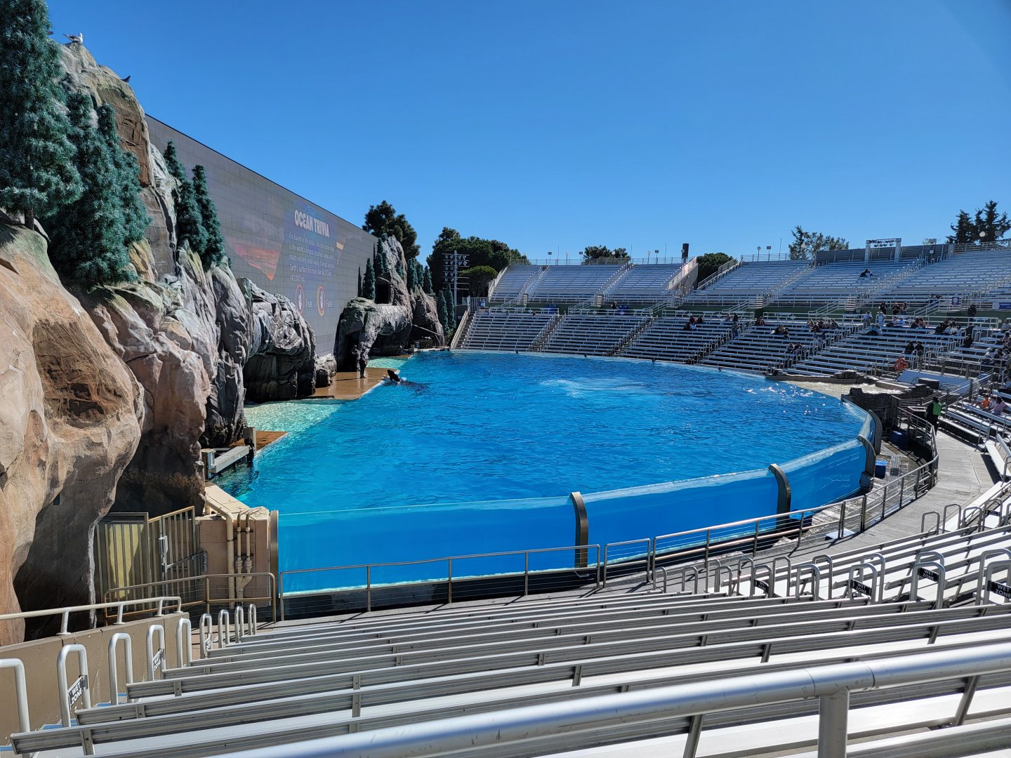 SeaWorld San Diego - Orca Encounter