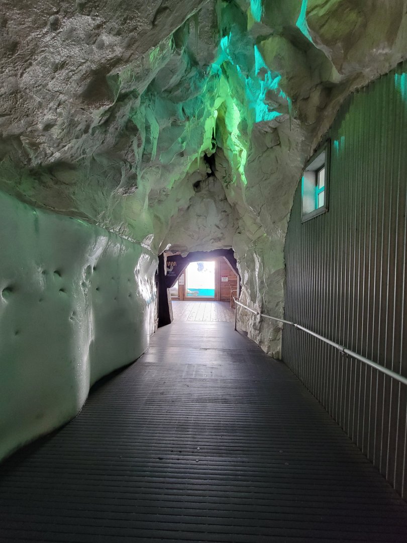 SeaWorld San Diego - Path from belugas to walruses