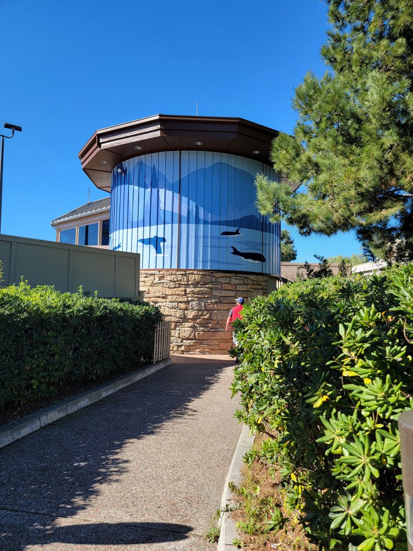 SeaWorld San Diego - Path to orcas