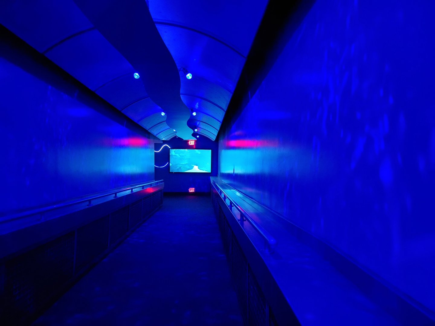 SeaWorld San Diego - Path to underwater viewing for sharks