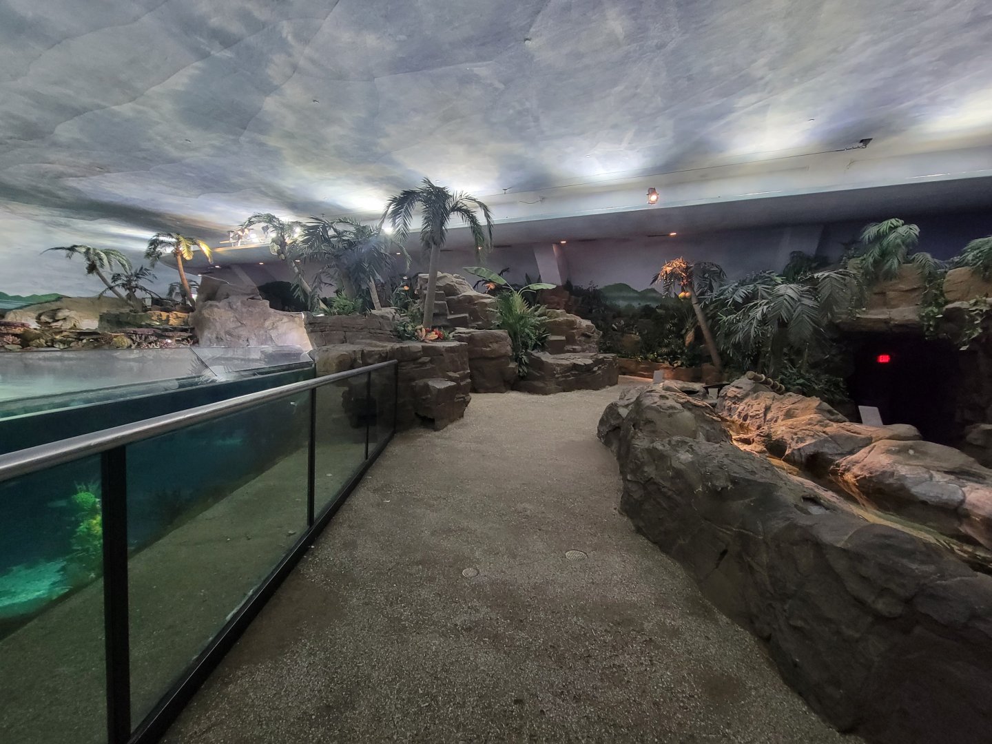 SeaWorld San Diego - Theming inside shark building