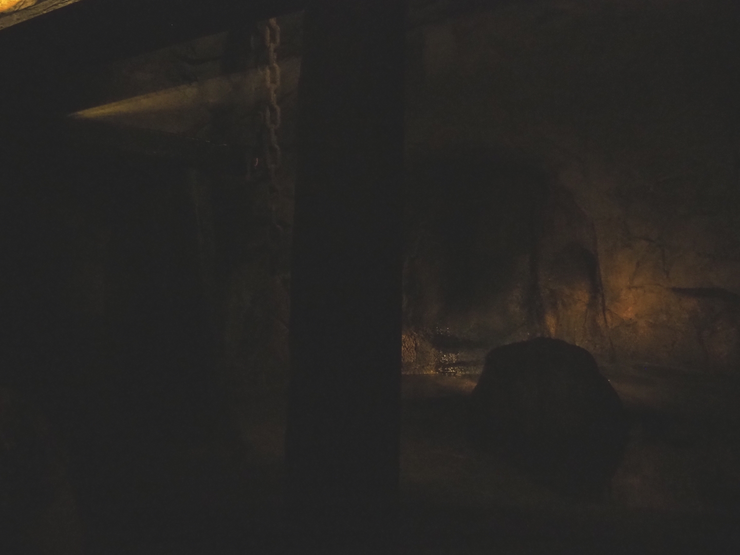 Seba's short-tailed bat cave (Sep 16th, 2018)