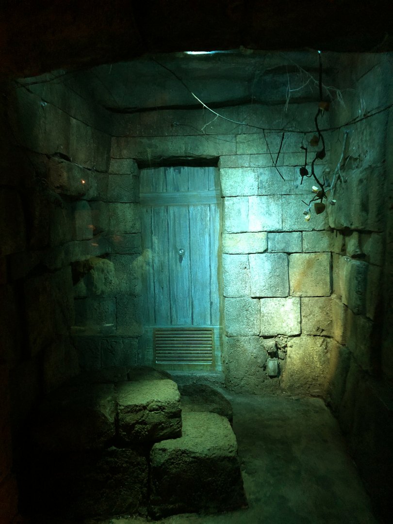 Seba's Short-Tailed Bat Exhibit